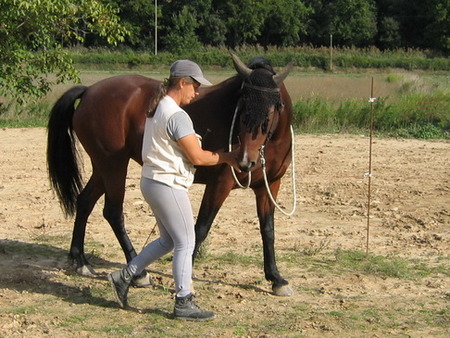 Équitation éthologique dans le Lot-et-Garonne