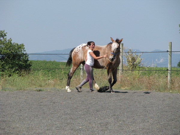 Diapo (17) Stage d’équitation éthologique en Lot-et-Garonne