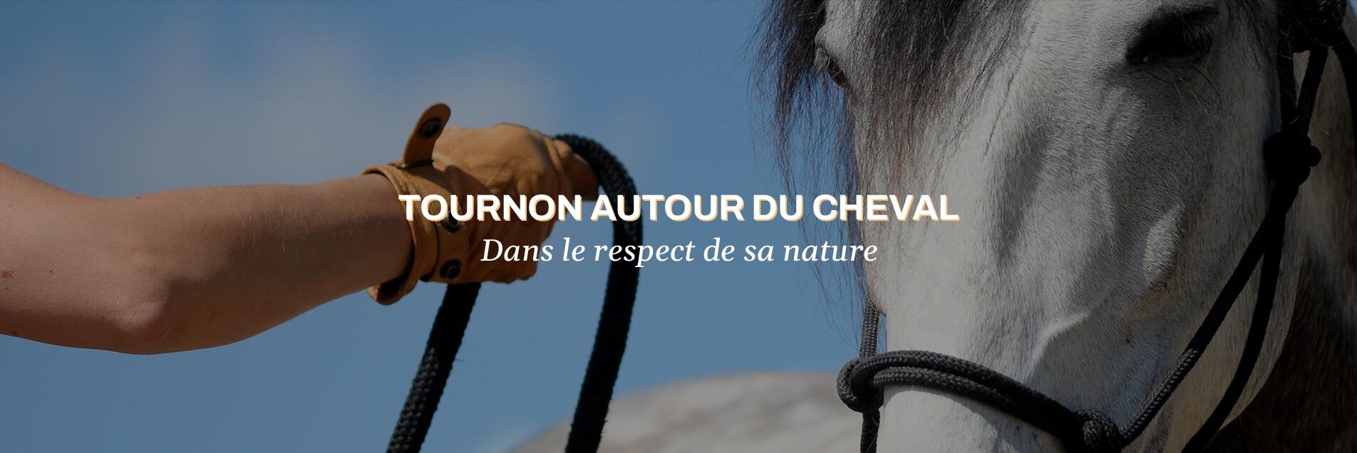 Équitation éthologique dans le Lot-et-Garonne