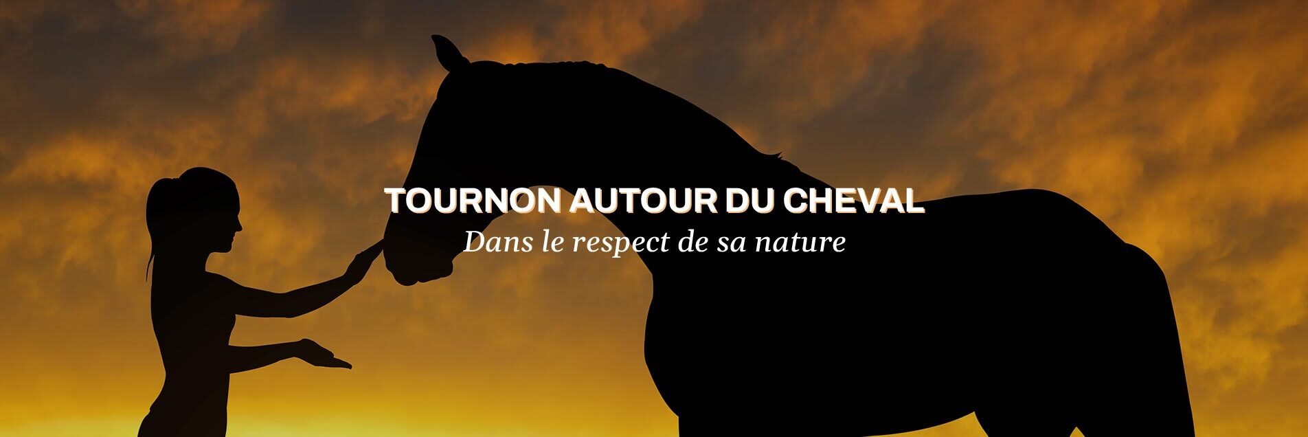 Équitation éthologique dans le Lot-et-Garonne