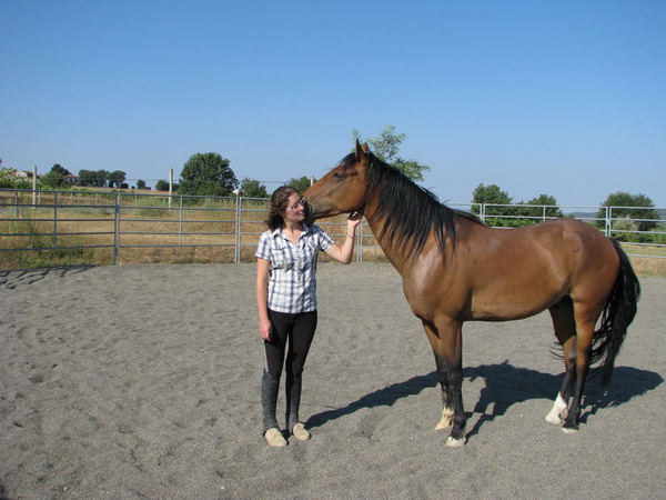Équitation éthologique dans le Lot-et-Garonne