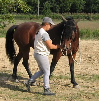 Apprendre à connaître son cheval près de la Dordogne