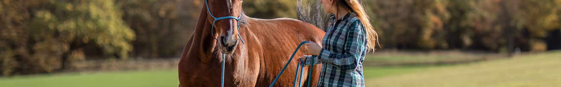 Apprendre à connaître son cheval près de la Dordogne