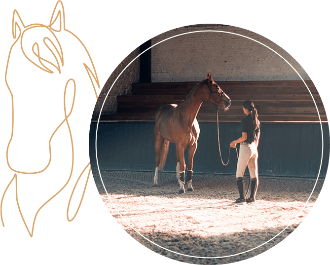 Équitation éthologique dans le Lot-et-Garonne